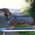 aAune-9-kk-IMG_9947