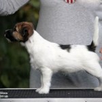12 weeks
