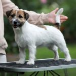 acocoIMG_2304