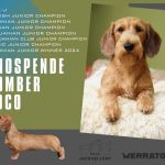 Blue Gradient Corporate Business Facebook Post - 1