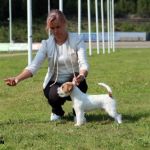 amorganIMG_1612